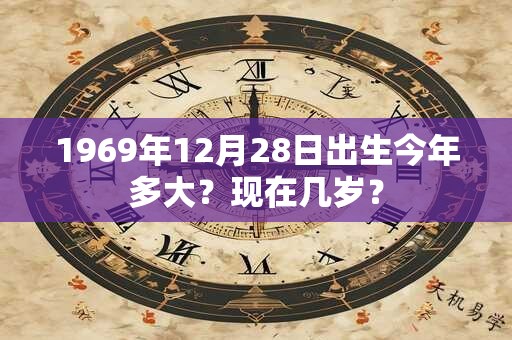 1969年12月28日出生今年多大？现在几岁？