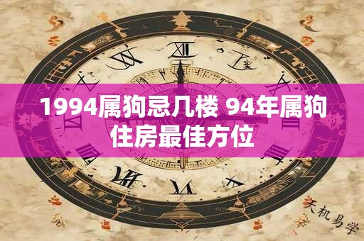 1994属狗忌几楼 94年属狗住房最佳方位