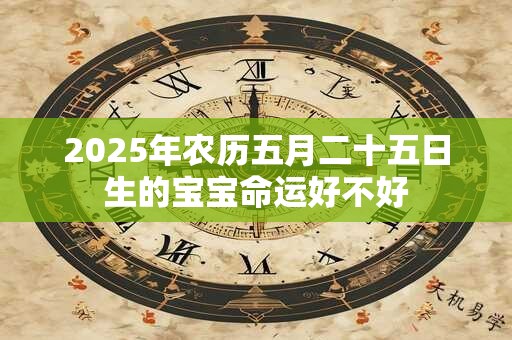 2025年农历五月二十五日生的宝宝命运好不好