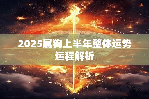 2025属狗上半年整体运势运程解析