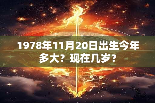 1978年11月20日出生今年多大？现在几岁？