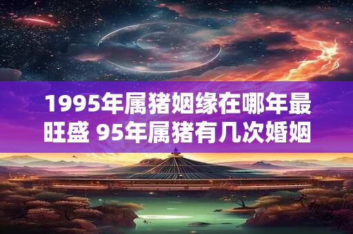 1995年属猪姻缘在哪年最旺盛 95年属猪有几次婚姻