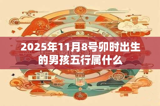 2025年11月8号卯时出生的男孩五行属什么