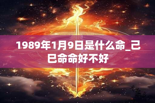 1989年1月9日是什么命_己巳命命好不好