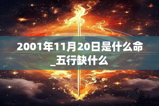 2001年11月20日是什么命_五行缺什么