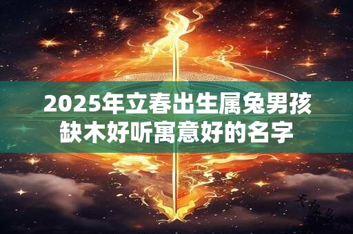 2025年立春出生属兔男孩缺木好听寓意好的名字