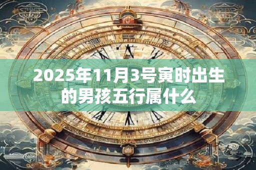 2025年11月3号寅时出生的男孩五行属什么