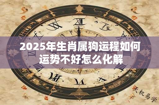 2025年生肖属狗运程如何 运势不好怎么化解