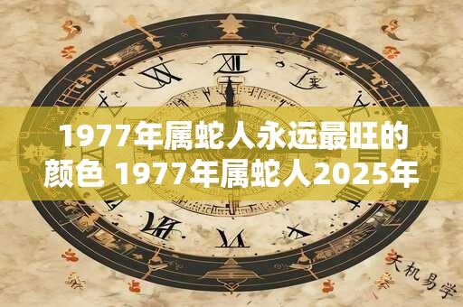 1977年属蛇人永远最旺的颜色 1977年属蛇人2025年多大了