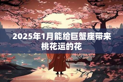 2025年1月能给巨蟹座带来桃花运的花