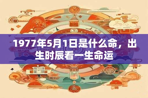 1977年5月1日是什么命，出生时辰看一生命运