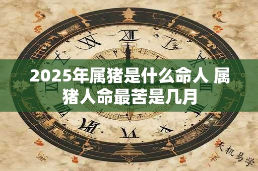 2025年属猪是什么命人 属猪人命最苦是几月