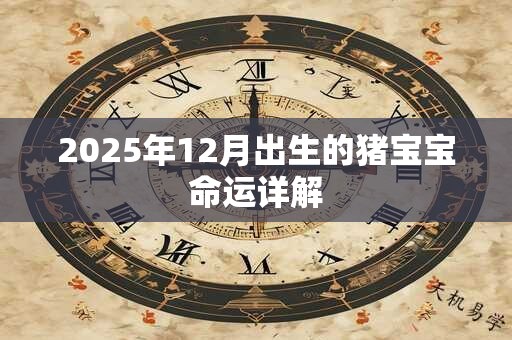 2025年12月出生的猪宝宝命运详解