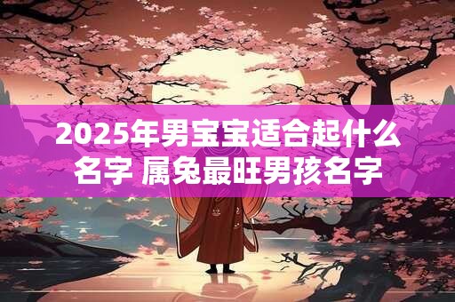 2025年男宝宝适合起什么名字 属兔最旺男孩名字