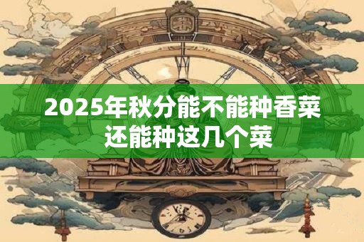 2025年秋分能不能种香菜  还能种这几个菜