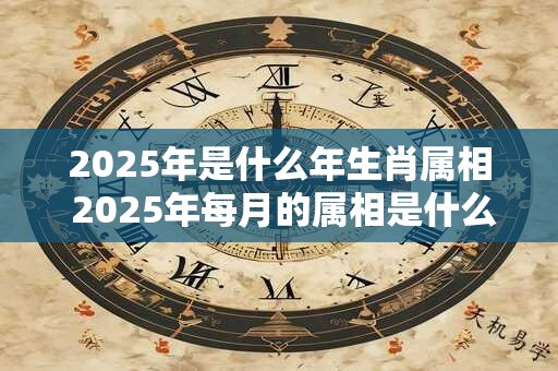 2025年是什么年生肖属相 2025年每月的属相是什么