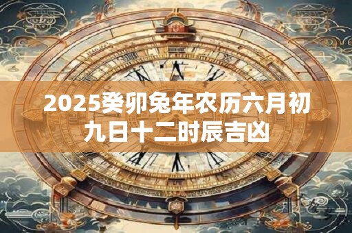 2025癸卯兔年农历六月初九日十二时辰吉凶