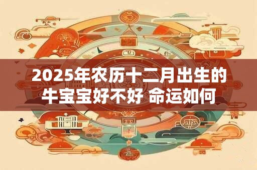 2025年农历十二月出生的牛宝宝好不好 命运如何