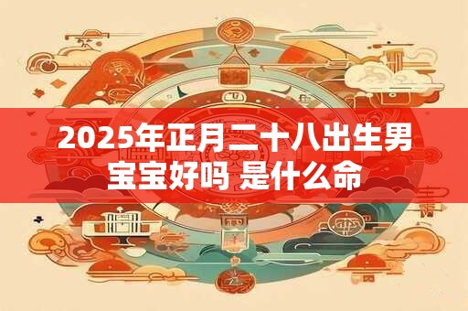 2025年正月二十八出生男宝宝好吗 是什么命