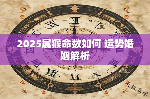 2025属猴命数如何 运势婚姻解析