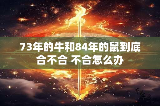 73年的牛和84年的鼠到底合不合 不合怎么办