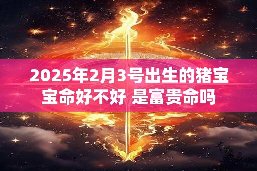 2025年2月3号出生的猪宝宝命好不好 是富贵命吗