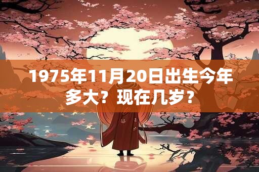 1975年11月20日出生今年多大？现在几岁？