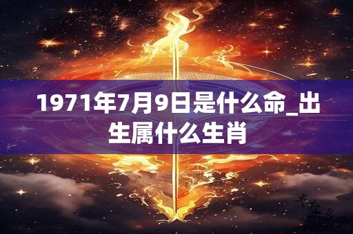 1971年7月9日是什么命_出生属什么生肖