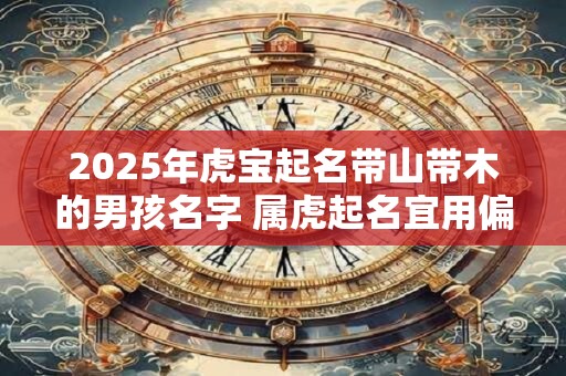 2025年虎宝起名带山带木的男孩名字 属虎起名宜用偏旁部首