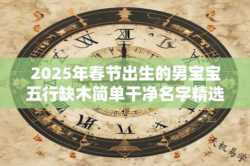 2025年春节出生的男宝宝五行缺木简单干净名字精选