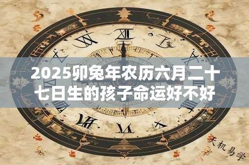2025卯兔年农历六月二十七日生的孩子命运好不好