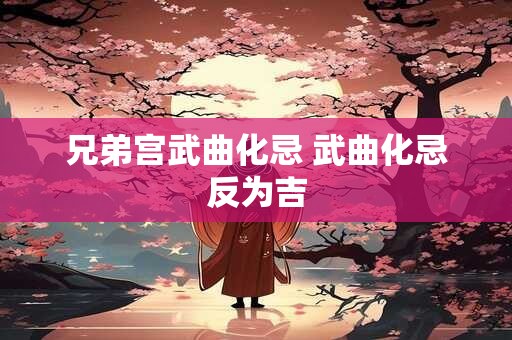 兄弟宫武曲化忌 武曲化忌反为吉