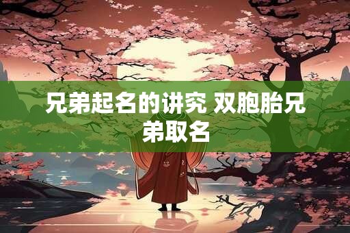 兄弟起名的讲究 双胞胎兄弟取名