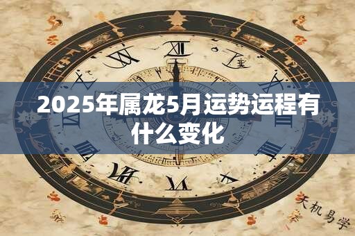 2025年属龙5月运势运程有什么变化