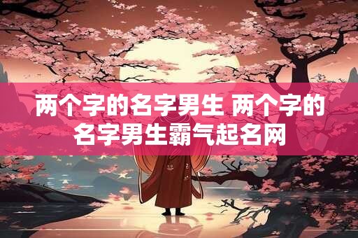 两个字的名字男生 两个字的名字男生霸气起名网