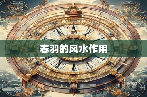 春羽的风水作用