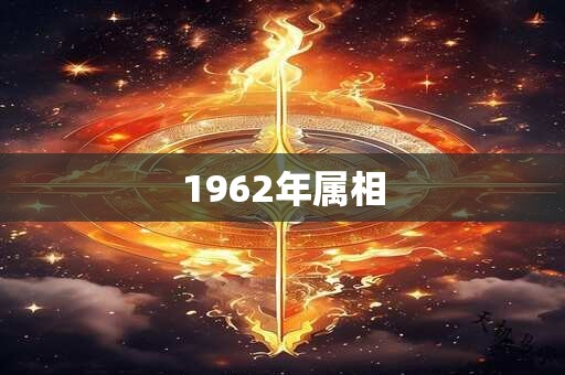 1962年属相