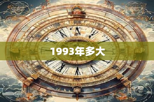1993年多大