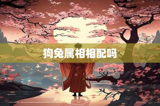 狗兔属相相配吗