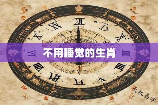 不用睡觉的生肖