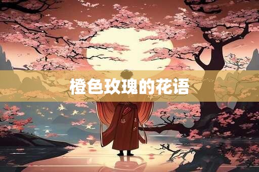 橙色玫瑰的花语