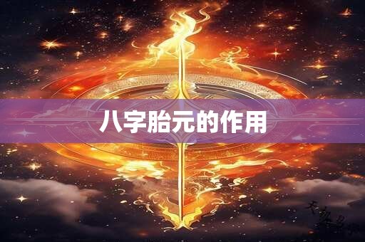 八字胎元的作用