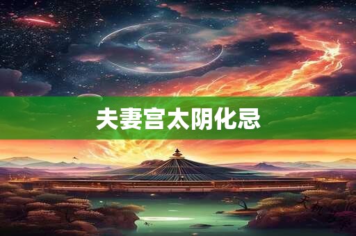 夫妻宫太阴化忌